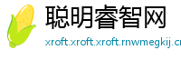 聪明睿智网